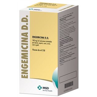 ENGEMICINA-DD FL 250 ML