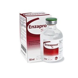 ENZAPROST FL 50 ML