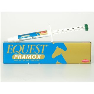 EQUEST PRAMOX GEL OS 1 SIR
