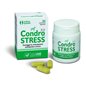 CONDROSTRESS (v 3.0.) 60 CPR APPETIBILI