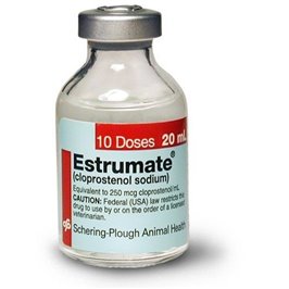 ESTRUMATE 10 DS