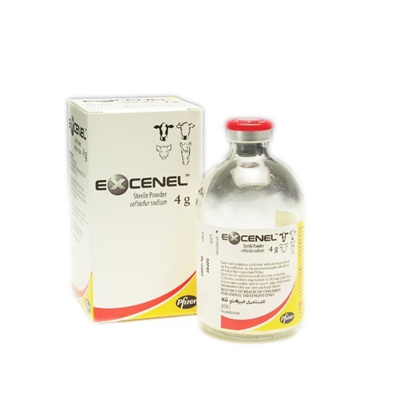 EXCENEL POLV. STERILE 4 G CAVALLO                   F