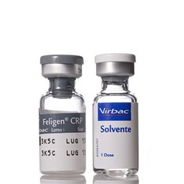 FELIGEN CRP 1DS                   F