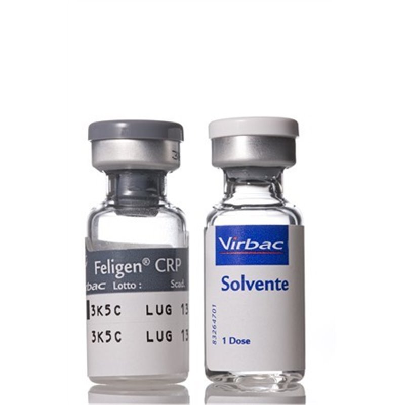 FELIGEN CRP 1DS                   F