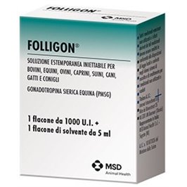 FOLLIGON 1000 U.I. 1 FL F