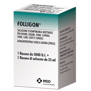 FOLLIGON 5000 U.I. 1 FL F
