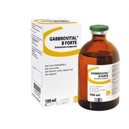GABBROVITAL B FORTE FL 100 ML