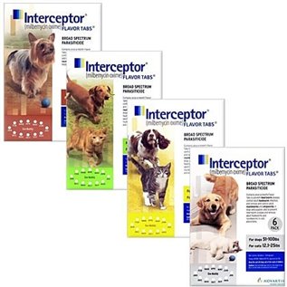 INTERCEPTOR FLAV.11,5 MG GIALLO 6CP NEW