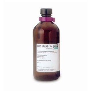 ISOFLURANE VET FL 250 ML P.N.