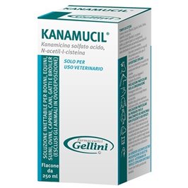 KANAMUCIL FL 250 ML