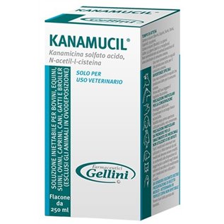 KANAMUCIL FL 250 ML