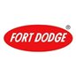 LIDOCAINA 2% FL 100 ML FORT DODGE LIDOCAINA 2% FL 100 ML FORT DODGE