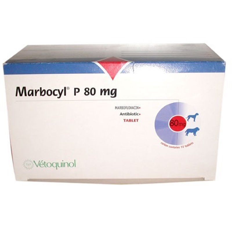 MARBOCYL P 80 MG 6 CPR
