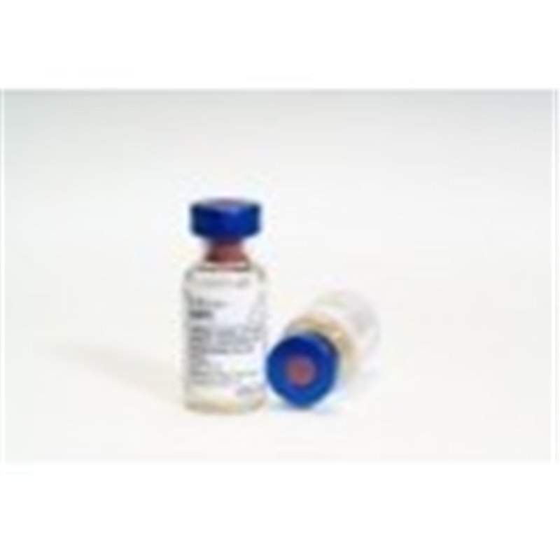 NOBIVAC CEP 10X1DS F