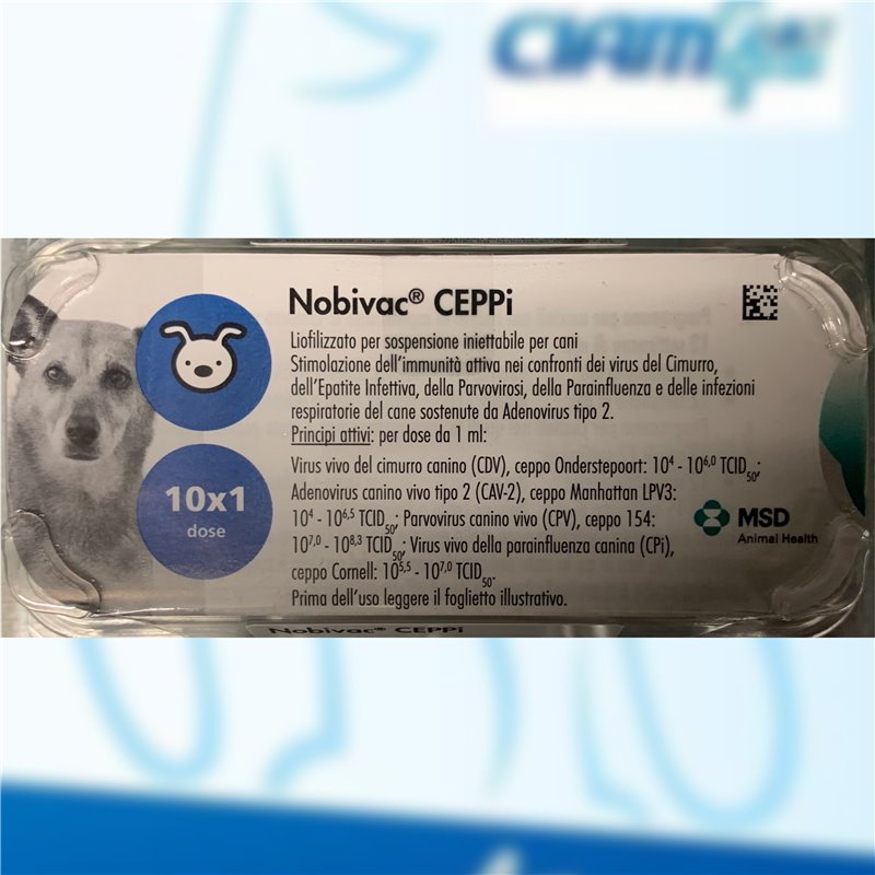 NOBIVAC CEPPI 10X1DS F