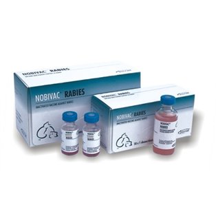 NOBIVAC RABBIA 10X1DS             F