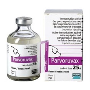 PARVORUVAX 25 DS                  F