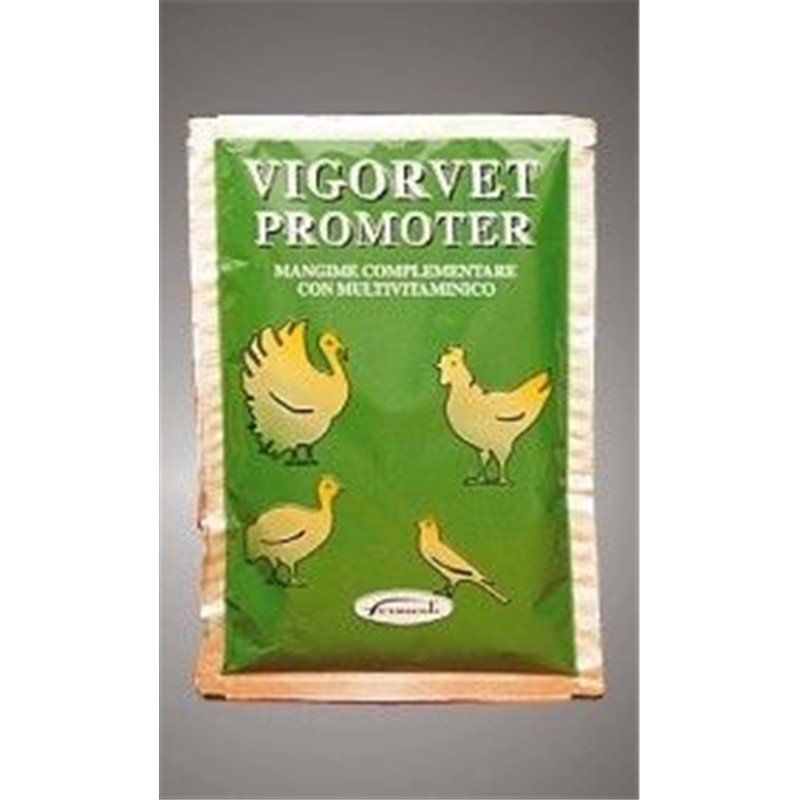 VIGORVET PROMOTER 100 GR