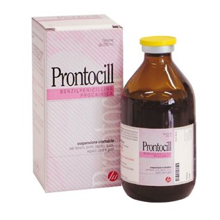 PRONTOCILL FL 250ML
