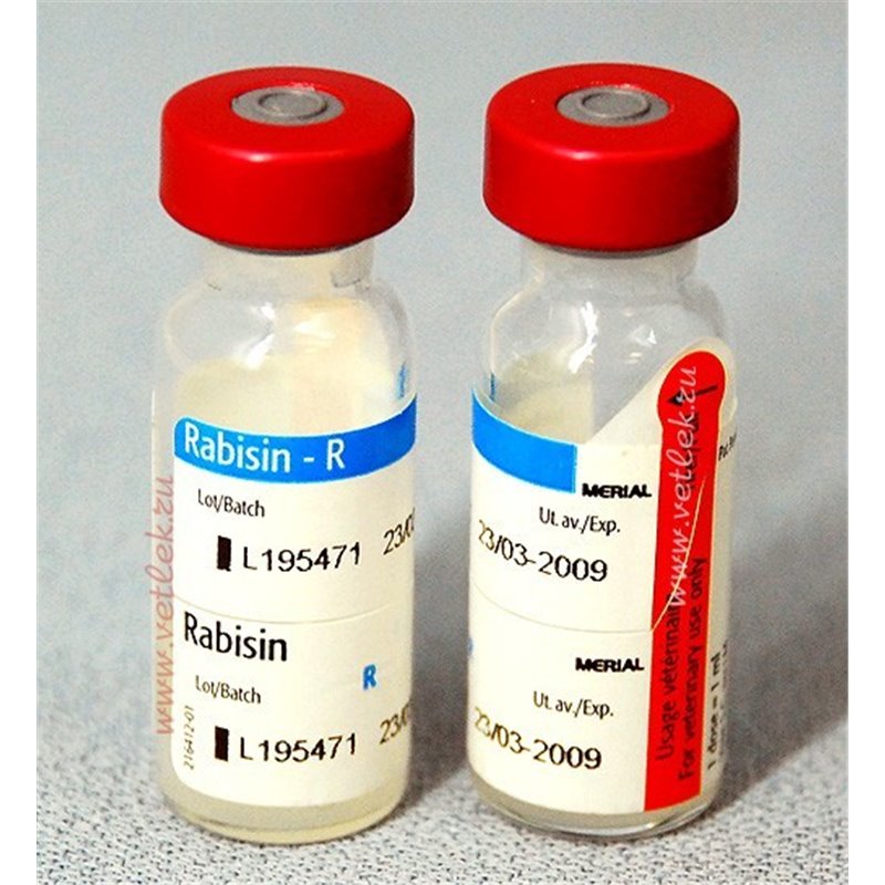 RABISIN-R 10X1DS                  F