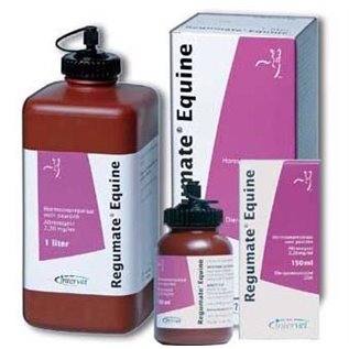 REGUMATE EQUINI 1000 ML