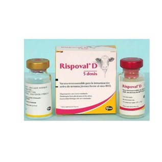 RISPOVAL D BVD 1X5DS F