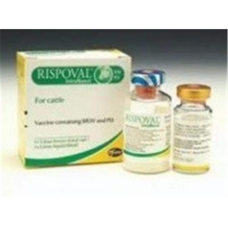 RISPOVAL INTRANASAL 1X5 DOSI F RISPOVAL INTRANASAL 1X5 DOSI F