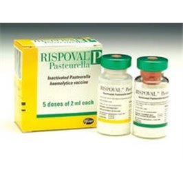 RISPOVAL PASTEURELLA 1X5 DS F