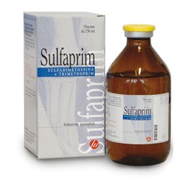 SULFAPRIM FL 250 ML