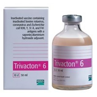 TRIVACTON-6 10X1DS                F