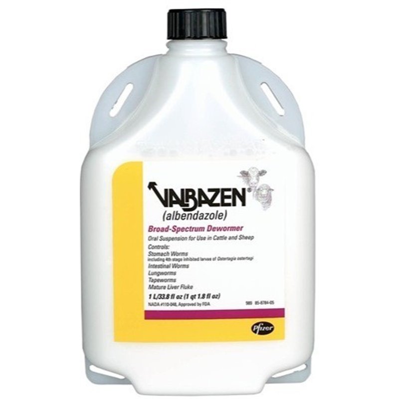 VALBAZEN 10% OS SOSP. 1 LT