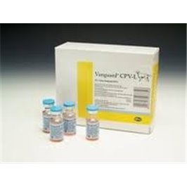 VANGUARD LEPTO 25FLX1DS           F