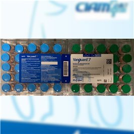 VANGUARD-7 25FLX1DS F