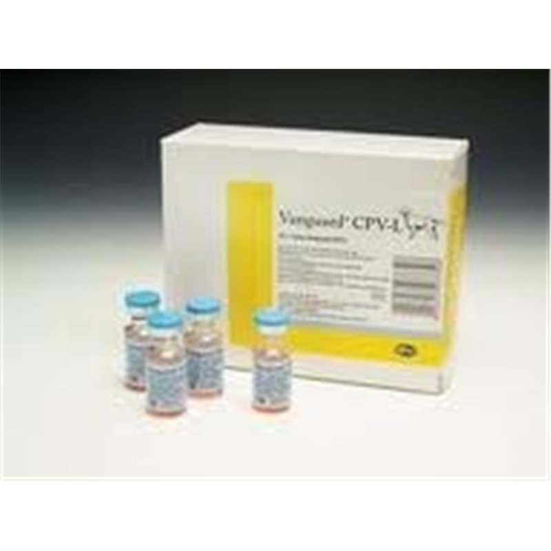 VANGUARD-CPV 25FLX1DS F