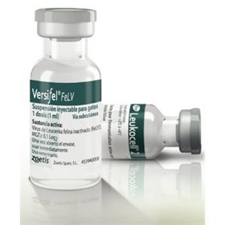 VERSIFEL FELV*25FL 1D                F