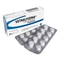 VETKELFIZINA CG 20 CPR