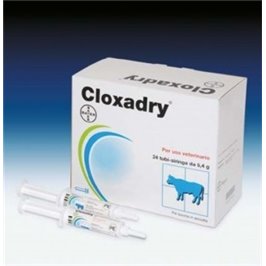 CLOXADRY 24 TUBI