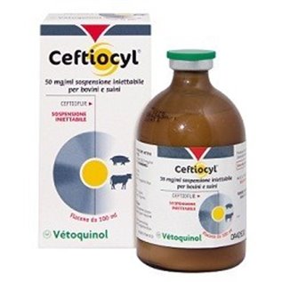 CEFTIOCYL 100 ML