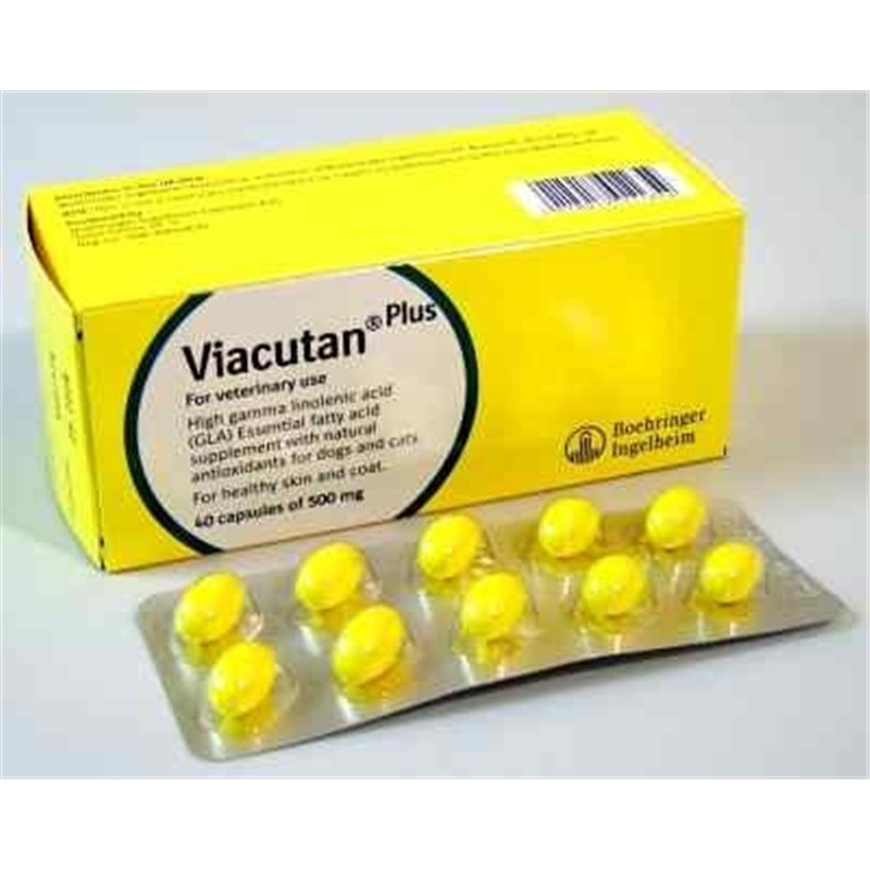 VIACUTAN PLUS 40 CPS 500 MG VIACUTAN PLUS 40 CPS 500 MG