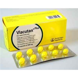 VIACUTAN PLUS 40 CPS 500 MG