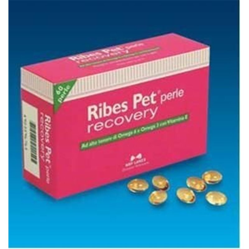 RIBES PET PERLE RECOVERY