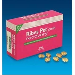RIBES PET PERLE RECOVERY