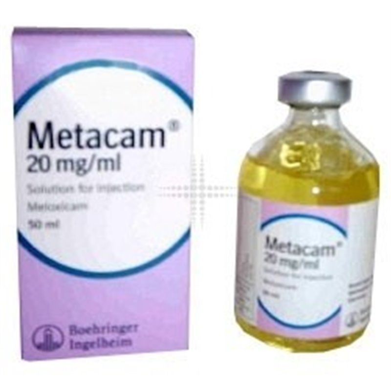 METACAM FL 20 ML INIETT.