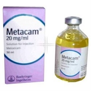 METACAM FL 20 ML INIETT.