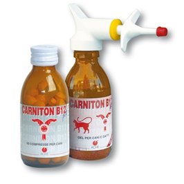 CARNITON B12 GEL FL 125 ML