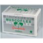 MUSCOFLEX 40 BS 25 GR CAVALLI