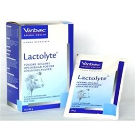 LACTOLYTE 90 GR 6 BS