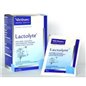 LACTOLYTE 90 GR 6 BS