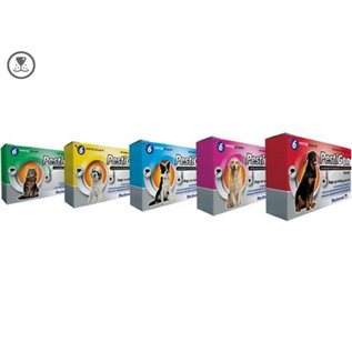 PestiGon Gatto 4 pipette 0,5 ml