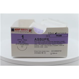 ASSUT - ASSUFIL AGO CIL.31,1MM D.4(1) L.70CM FR249